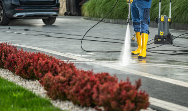Best Factory Floor Cleaning  in Buena Vista, VA